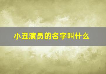 小丑演员的名字叫什么