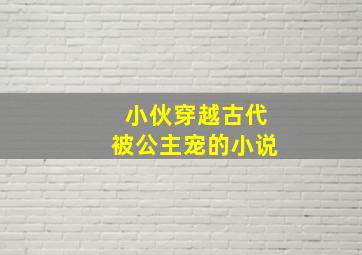 小伙穿越古代被公主宠的小说