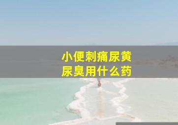 小便刺痛尿黄尿臭用什么药