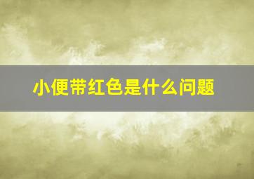 小便带红色是什么问题