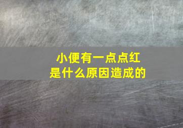 小便有一点点红是什么原因造成的