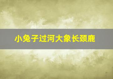 小兔子过河大象长颈鹿