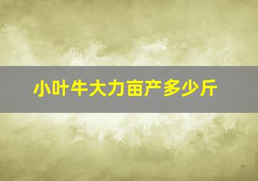 小叶牛大力亩产多少斤