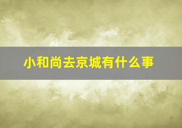 小和尚去京城有什么事