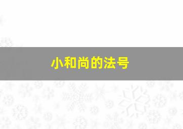 小和尚的法号