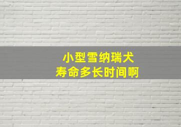 小型雪纳瑞犬寿命多长时间啊