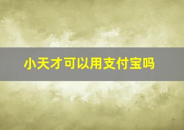 小天才可以用支付宝吗