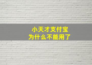 小天才支付宝为什么不能用了