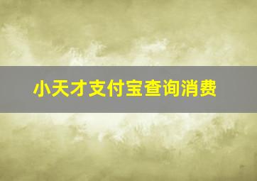 小天才支付宝查询消费