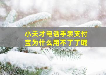 小天才电话手表支付宝为什么用不了了呢