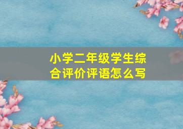 小学二年级学生综合评价评语怎么写