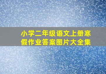 小学二年级语文上册寒假作业答案图片大全集