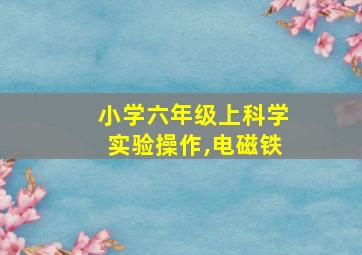 小学六年级上科学实验操作,电磁铁