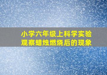 小学六年级上科学实验观察蜡烛燃烧后的现象