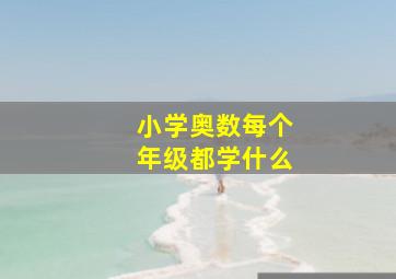 小学奥数每个年级都学什么