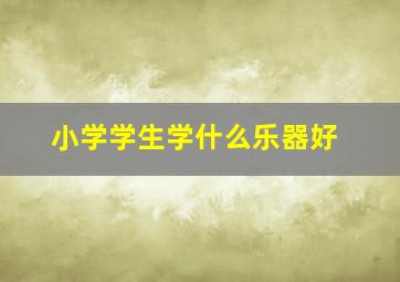 小学学生学什么乐器好