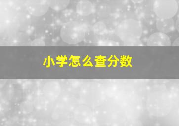 小学怎么查分数