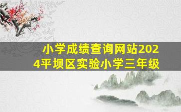 小学成绩查询网站2024平坝区实验小学三年级