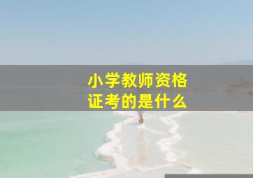 小学教师资格证考的是什么