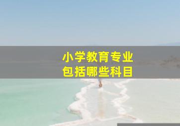 小学教育专业包括哪些科目