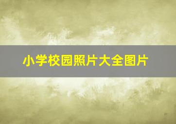 小学校园照片大全图片