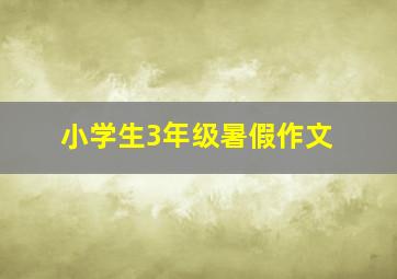 小学生3年级暑假作文