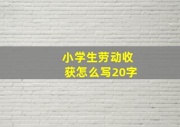 小学生劳动收获怎么写20字