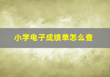 小学电子成绩单怎么查