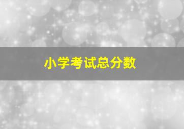 小学考试总分数