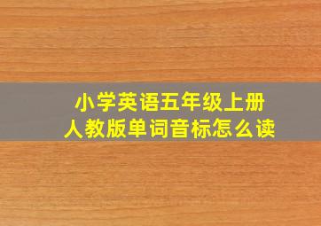 小学英语五年级上册人教版单词音标怎么读