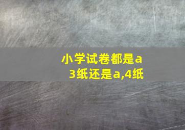 小学试卷都是a3纸还是a,4纸