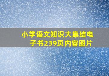 小学语文知识大集结电子书239页内容图片