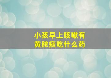 小孩早上咳嗽有黄脓痰吃什么药