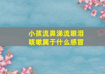 小孩流鼻涕流眼泪咳嗽属于什么感冒