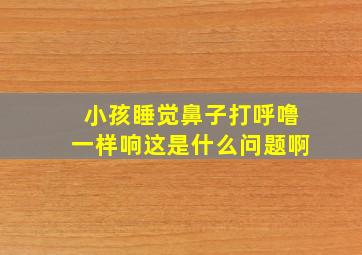 小孩睡觉鼻子打呼噜一样响这是什么问题啊