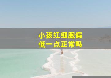 小孩红细胞偏低一点正常吗