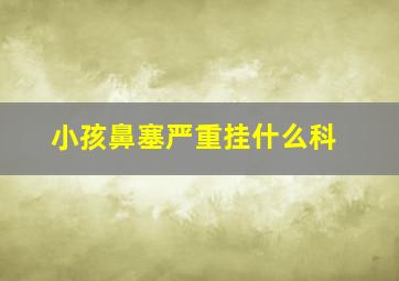 小孩鼻塞严重挂什么科