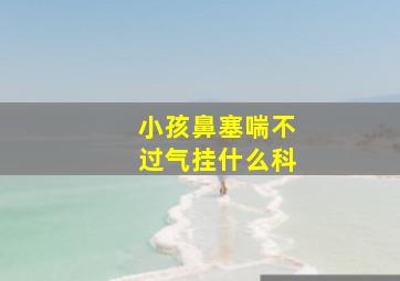 小孩鼻塞喘不过气挂什么科