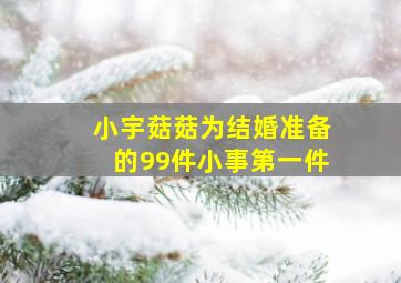 小宇菇菇为结婚准备的99件小事第一件