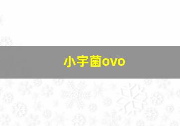 小宇菌ovo