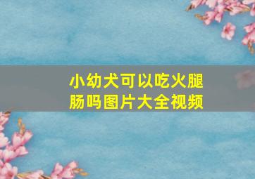 小幼犬可以吃火腿肠吗图片大全视频