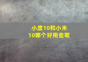 小度10和小米10哪个好用些呢