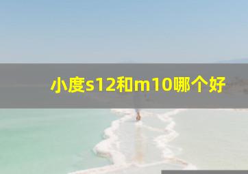 小度s12和m10哪个好