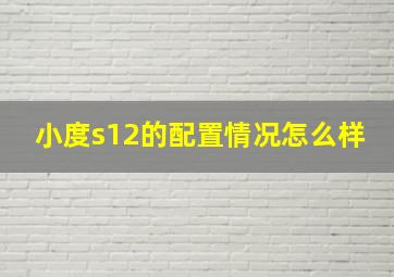 小度s12的配置情况怎么样