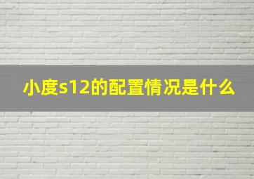 小度s12的配置情况是什么