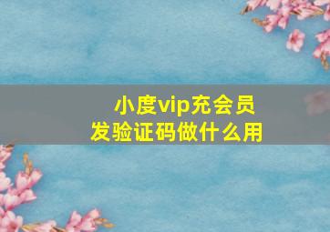 小度vip充会员发验证码做什么用