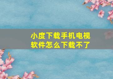 小度下载手机电视软件怎么下载不了