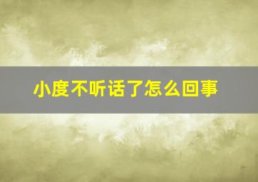 小度不听话了怎么回事