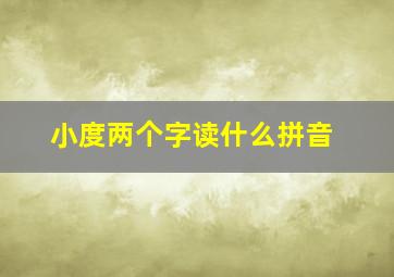 小度两个字读什么拼音