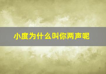 小度为什么叫你两声呢